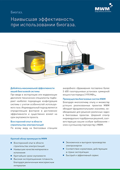 Продукция MWM